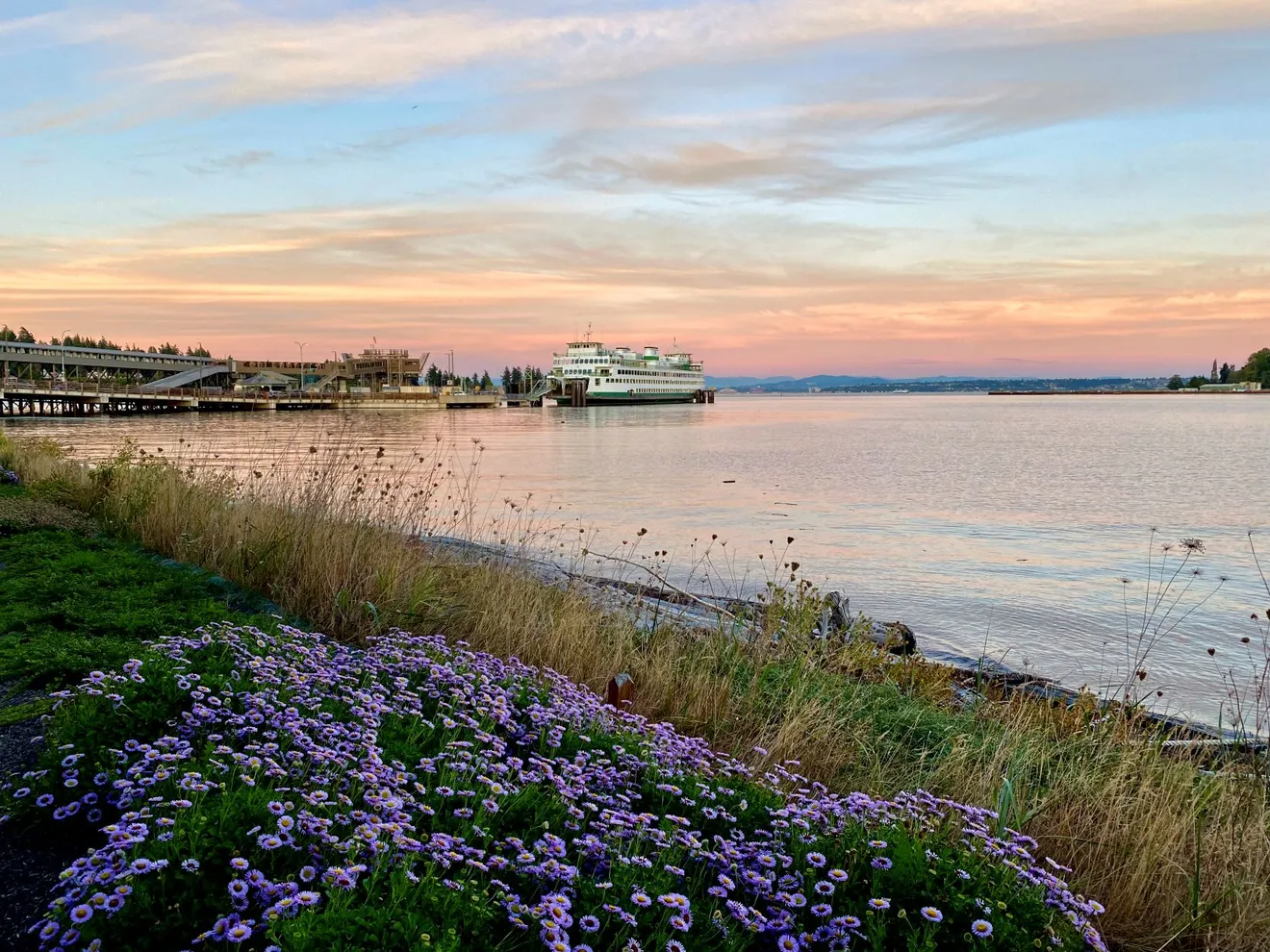 Find bliss on Washington’s Bainbridge Island: A guide to experiencing the island