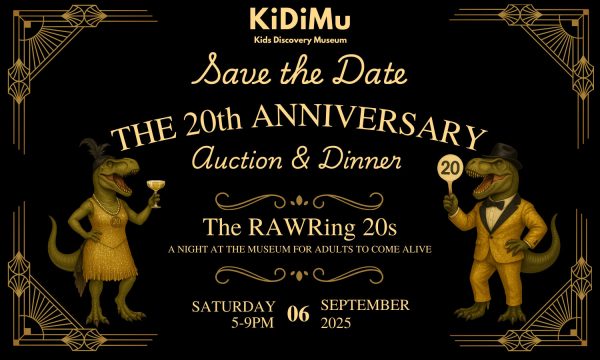 Wonder Auction Ticket