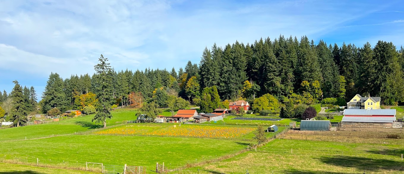 Package 16: Come Fall on the Farm!