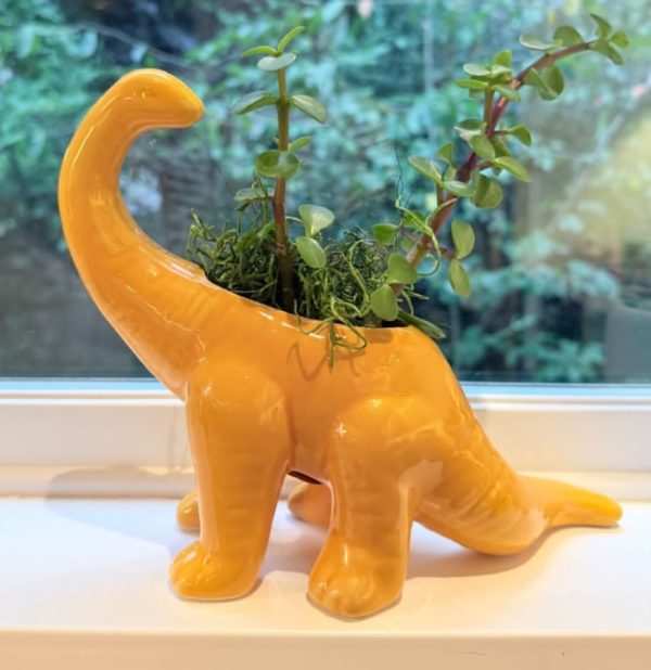 Dino Planter